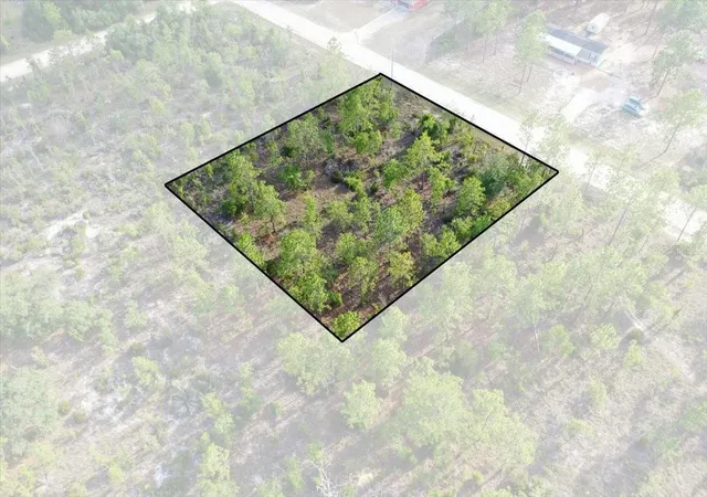 Photo 1 of Land for sale at 0000 Ne 131 Lot 7 Ter, Williston, FL 32696 | MLS# TB8529225 | Listing updated on 2026-09-01
