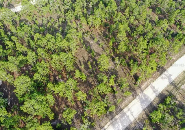 Photo 2 of Land for sale at 0000 Ne 131 Lot 7 Ter, Williston, FL 32696 | MLS# TB8529225 | Listing updated on 2026-09-01
