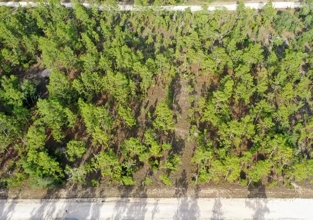 Photo 3 of Land for sale at 0000 Ne 131 Lot 7 Ter, Williston, FL 32696 | MLS# TB8529225 | Listing updated on 2026-09-01