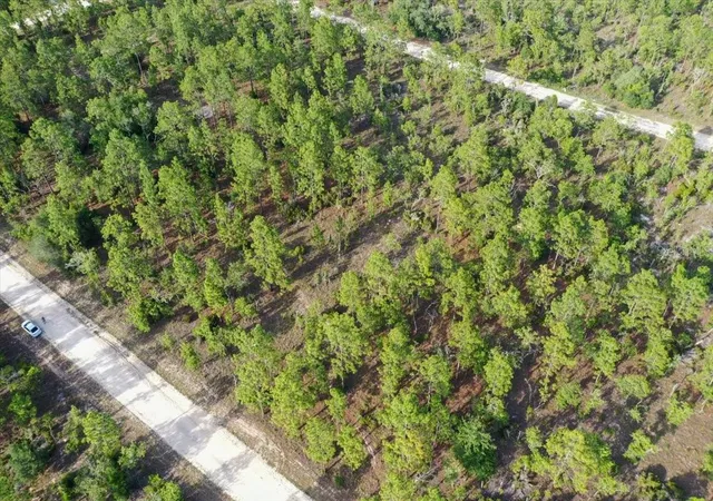 Photo 3 of Land for sale at 0000 NE 131 Lot 7 Ter, Williston, FL 32696 | MLS# TB8529225 | Listing updated on 2026-09-01
