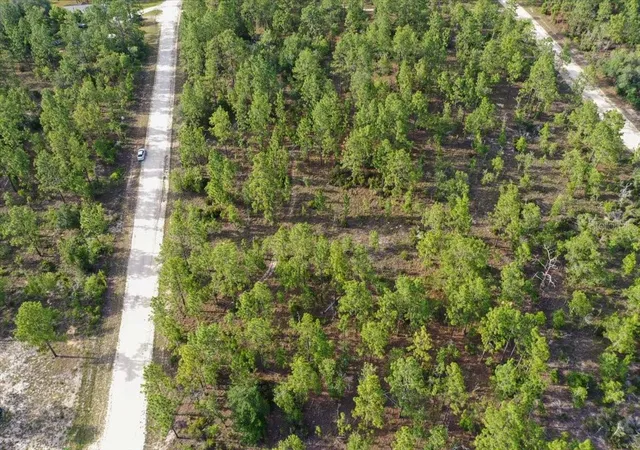 Photo 4 of Land for sale at 0000 NE 131 Lot 7 Ter, Williston, FL 32696 | MLS# TB8529225 | Listing updated on 2026-09-01