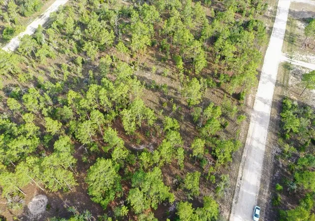 Photo 2 of Land for sale at 0000 Ne 131 Lot 8 Ter, Williston, FL 32696 | MLS# TB8529229 | Listing updated on 2026-09-01