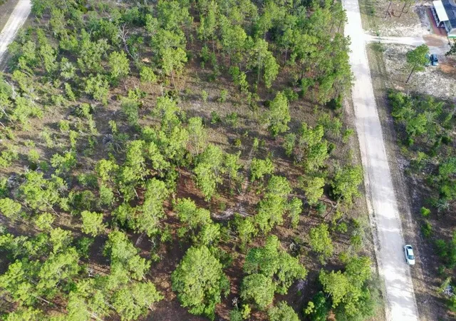 Photo 3 of Land for sale at 0000 Ne 131 Lot 8 Ter, Williston, FL 32696 | MLS# TB8529229 | Listing updated on 2026-09-01