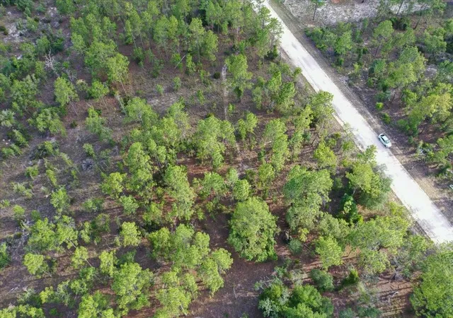 Photo 3 of Land for sale at 0000 NE 131 Lot 8 Ter, Williston, FL 32696 | MLS# TB8529229 | Listing updated on 2026-09-01