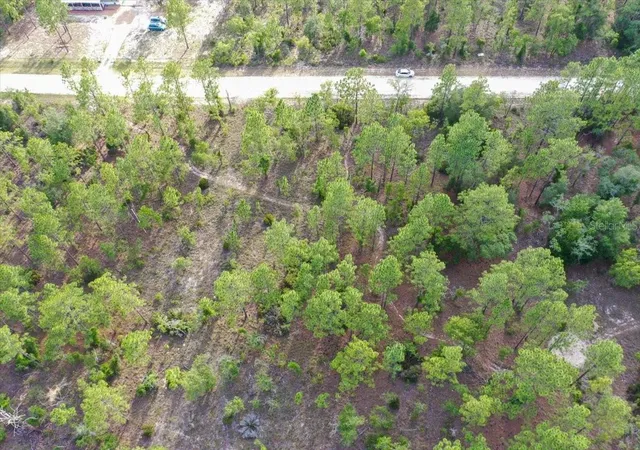 Photo 4 of Land for sale at 0000 NE 131 Lot 8 Ter, Williston, FL 32696 | MLS# TB8529229 | Listing updated on 2026-09-01