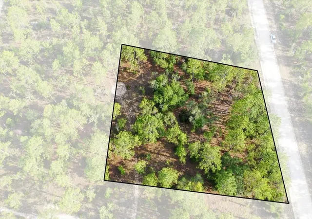 Photo 1 of Land for sale at 0000 Ne 131 Lot 9 Ter, Williston, FL 32696 | MLS# TB8529233 | Listing updated on 2026-09-01