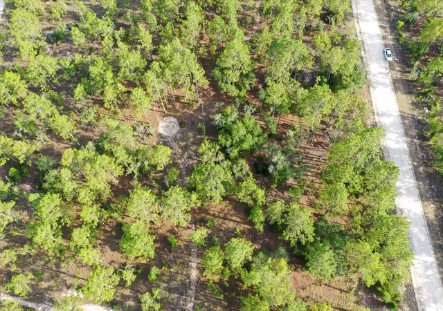 Photo 2 of Land for sale at 0000 Ne 131 Lot 9 Ter, Williston, FL 32696 | MLS# TB8529233 | Listing updated on 2026-09-01