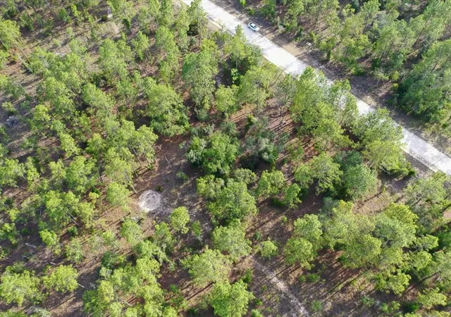 Photo 3 of Land for sale at 0000 Ne 131 Lot 9 Ter, Williston, FL 32696 | MLS# TB8529233 | Listing updated on 2026-09-01