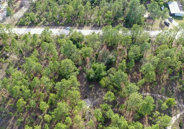 Photo 4 of Land for sale at 0000 NE 131 Lot 9 Ter, Williston, FL 32696 | MLS# TB8529233 | Listing updated on 2026-09-01