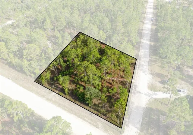 Photo 1 of Land for sale at 0000 Ne 131 Lot 10 Ter, Williston, FL 32696 | MLS# TB8529243 | Listing updated on 2026-09-01