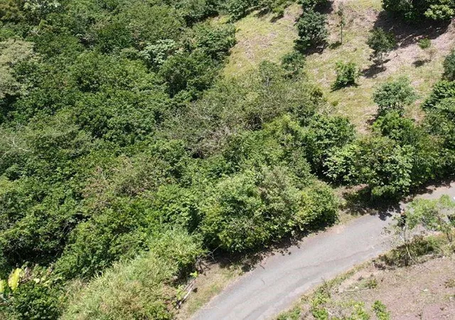Photo 20 of Land for sale at Hacienda De Cidra Rabanal Parcela #32, Cidra, PR 00739 | MLS# PR9122768 | Listing updated on 2026-08-14