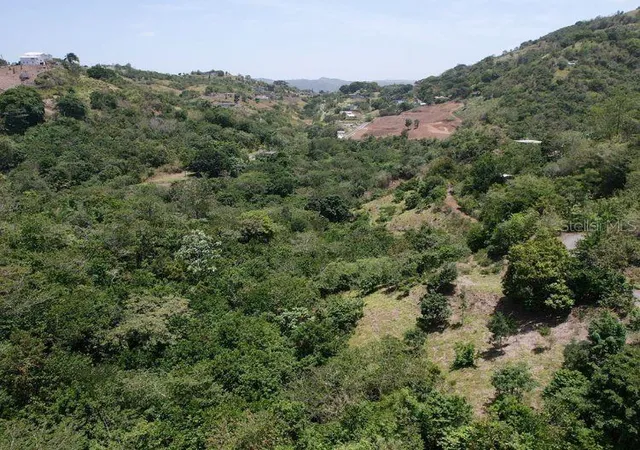 Photo 3 of Land for sale at Hacienda De Cidra Rabanal Parcela, Cidra, PR 00739 | MLS# PR9122768 | Listing updated on 2026-08-14