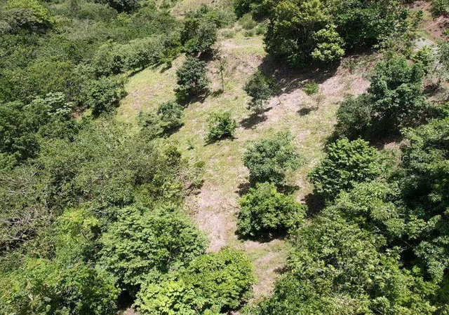 Photo 3 of Land for sale at Hacienda De Cidra Rabanal Parcela #32, Cidra, PR 00739 | MLS# PR9122768 | Listing updated on 2026-08-14