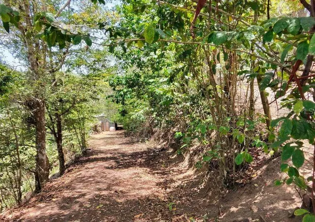 Photo 4 of Land for sale at Hacienda De Cidra Rabanal Parcela #32, Cidra, PR 00739 | MLS# PR9122768 | Listing updated on 2026-08-14