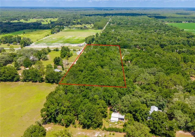 Photo 3 of Land for sale at Tbd Ne 349 Lot 15 Hwy, Old Town, FL 32680 | MLS# GC541963 | Listing updated on 2026-07-18