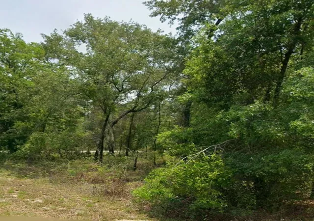 2nd image of 00 Nw Highview Ave, Hernando, FL 34442 | MLS# OM728488