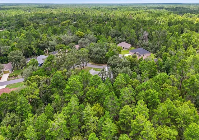 43rd image of 12 Asters Ct, Homosassa, FL 34446 | MLS# OM728489