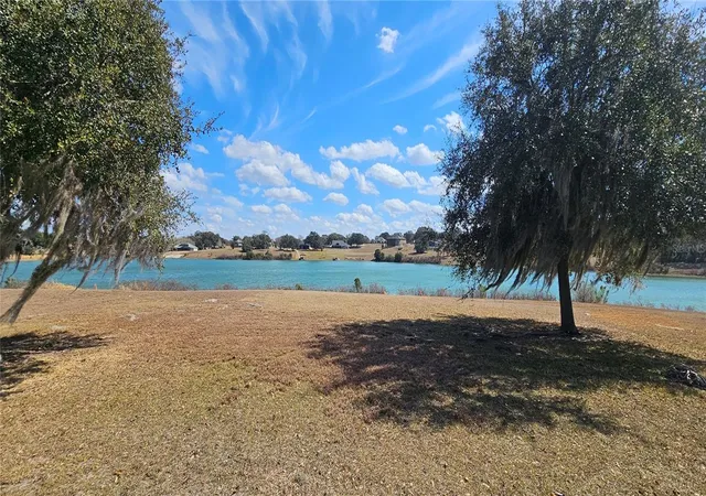 19th image of 23705 Milford Dr, Eustis, FL 32736 | MLS# O6425151