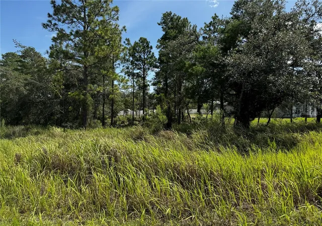 Photo 1 of Sale Pending at Lot 14 Barnevelde Rd, Brooksville, FL 34614 | MLS# W7887658 | Listing updated on 2026-09-03