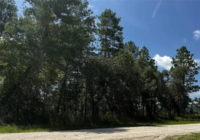 Photo 2 of Sale Pending at Lot 14 Barnevelde Rd, Brooksville, FL 34614 | MLS# W7887658 | Listing updated on 2026-09-03