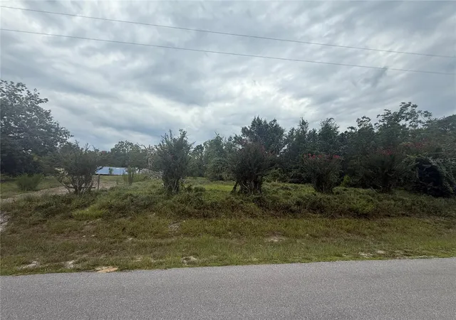 Photo 1 of Land for sale at 31514 Division St, Deland, FL 32720 | MLS# V4950218 | Listing updated on 2026-07-15