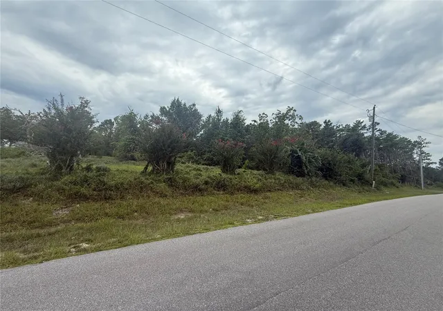 Photo 2 of Land for sale at 31514 Division St, Deland, FL 32720 | MLS# V4950218 | Listing updated on 2026-07-15