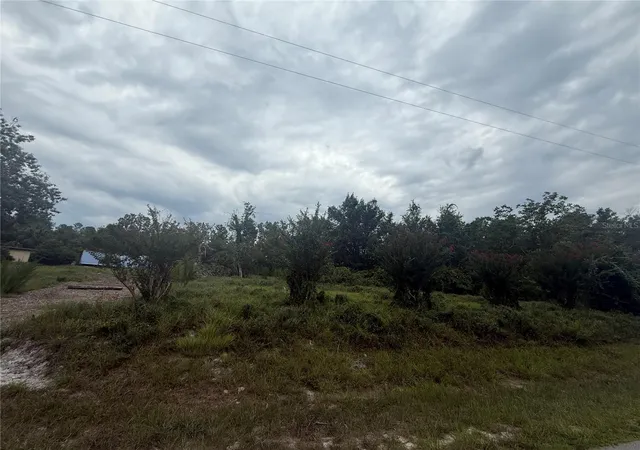 Photo 3 of Land for sale at 31514 Division St, Deland, FL 32720 | MLS# V4950218 | Listing updated on 2026-07-15