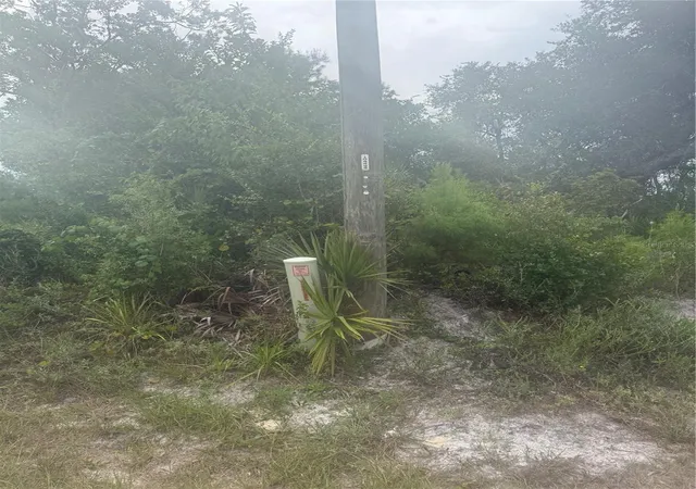 Photo 4 of Land for sale at 31514 Division St, Deland, FL 32720 | MLS# V4950218 | Listing updated on 2026-07-15
