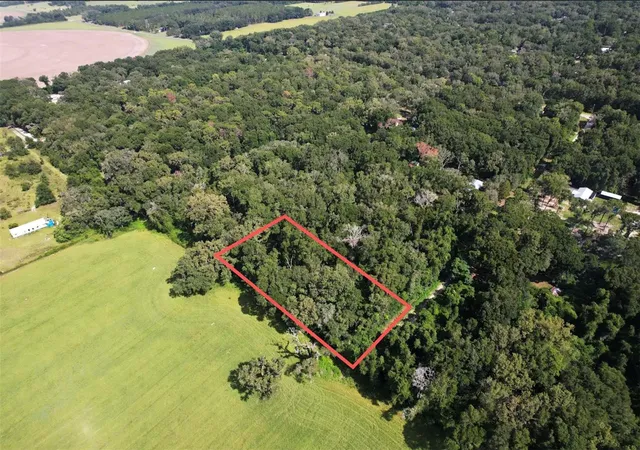 2nd image of Nw 73rd Ter, Trenton, FL 32693 | MLS# O6425250