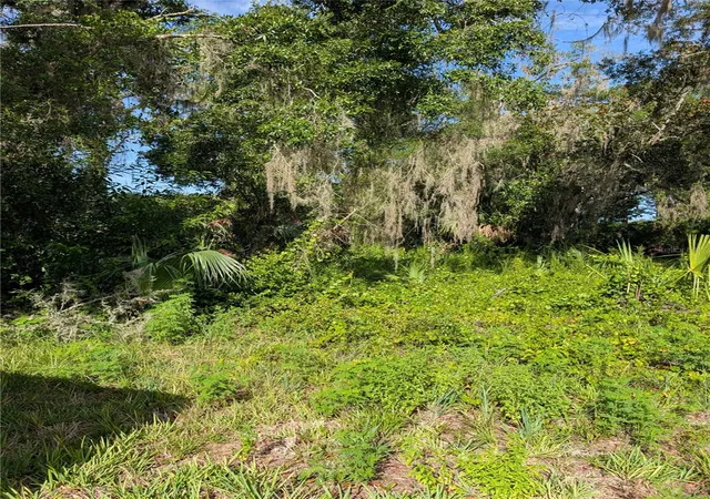 Photo 2 of Land for sale at 6650 N Beechnut Loop, Hernando, FL 34442 | MLS# OM728523 | Listing updated on 2026-08-06