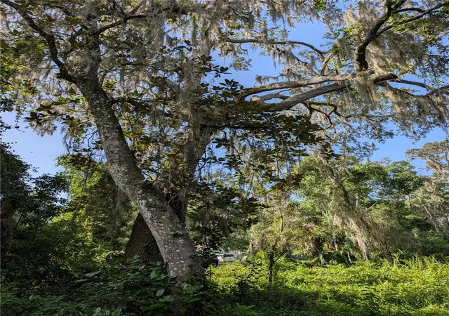 Photo 3 of Land for sale at 6650 N Beechnut Loop, Hernando, FL 34442 | MLS# OM728523 | Listing updated on 2026-08-06