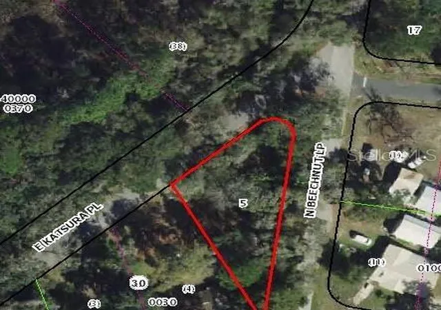Photo 4 of Land for sale at 6650 N Beechnut Loop, Hernando, FL 34442 | MLS# OM728523 | Listing updated on 2026-08-06