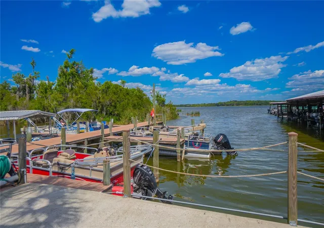 46th image of 3896 Picciola Rd #534, Fruitland Park, FL 34731 | MLS# W7887675