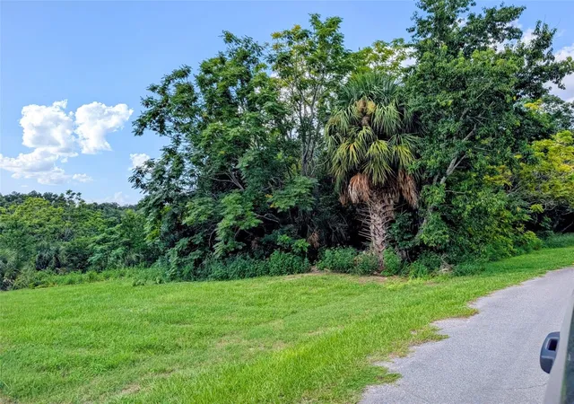 1st image of Green Briar Dr, Lady Lake, FL 32159 | MLS# R4911659