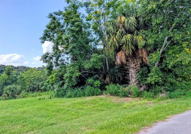 2nd image of Green Briar Dr, Lady Lake, FL 32159 | MLS# R4911659