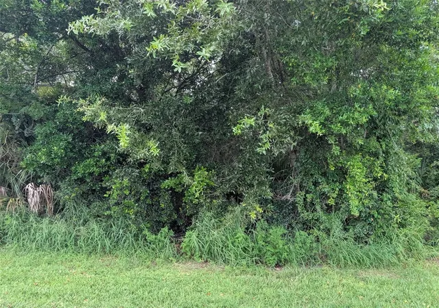 8th image of Green Briar Dr, Lady Lake, FL 32159 | MLS# R4911659