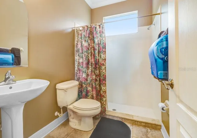 51st image of 16116 Ivy Lake Dr, Odessa, FL 33556 | MLS# A4700130