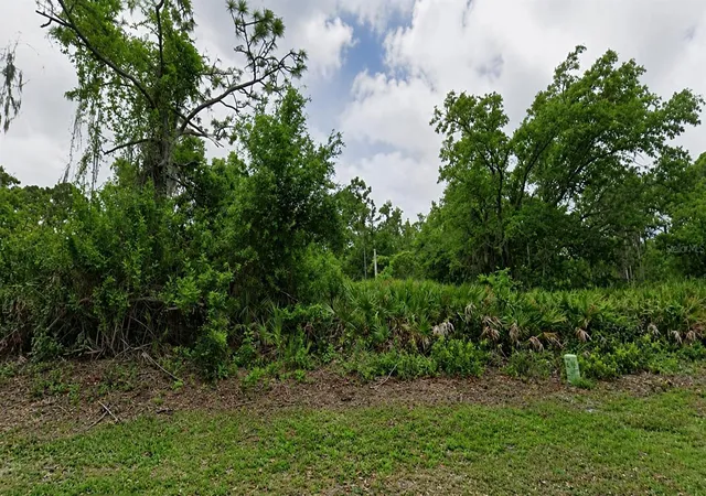 Photo 1 of Land for sale at 23447 Racine Ave, Punta Gorda, FL 33980 | MLS# O6425515 | Listing updated on 2026-07-31