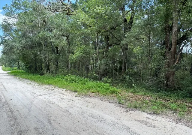 Photo 1 of Land for sale at Southwest 139th Ct, Dunnellon, FL 34432 | MLS# OM728581 | Listing updated on 2026-07-16
