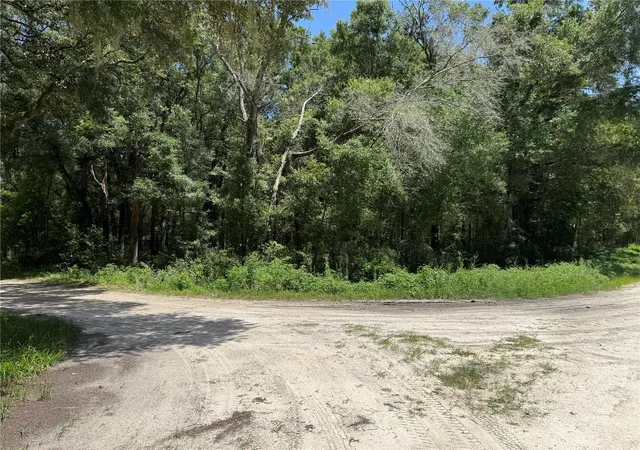 Photo 3 of Land for sale at Southwest 139th Ct, Dunnellon, FL 34432 | MLS# OM728581 | Listing updated on 2026-07-16