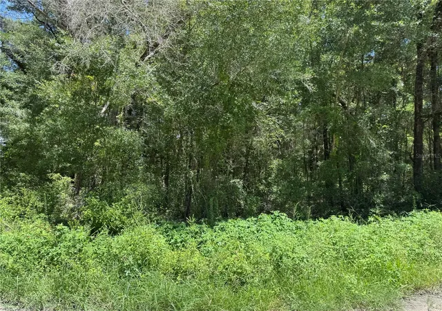 Photo 3 of Land for sale at Southwest 139th Ct, Dunnellon, FL 34432 | MLS# OM728581 | Listing updated on 2026-07-16
