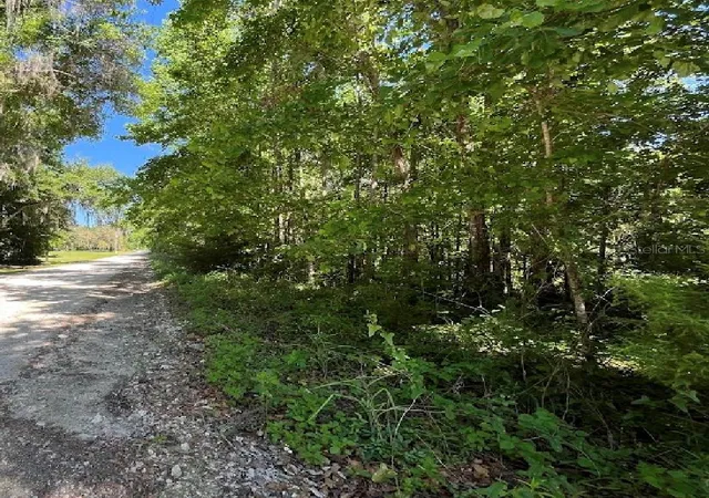 Photo 1 of Land for sale at 14220 Nw 182nd Lane, Williston, FL 32696 | MLS# GC542007 | Listing updated on 2026-07-17