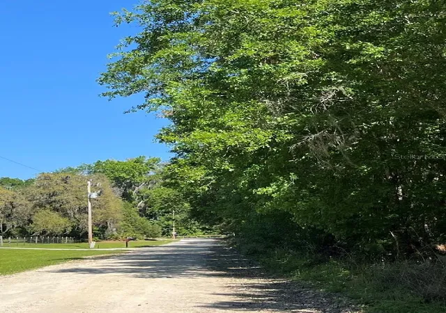 Photo 3 of Land for sale at 14220 Nw 182nd Lane, Williston, FL 32696 | MLS# GC542007 | Listing updated on 2026-07-17