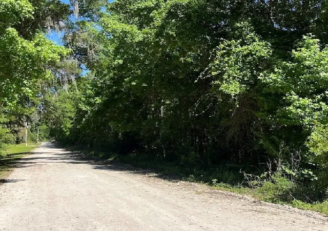 Photo 3 of Land for sale at 14220 NW 182nd Lane, Williston, FL 32696 | MLS# GC542007 | Listing updated on 2026-07-17