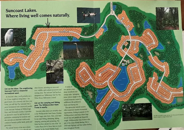 3rd image of 15041 Princewood Ln, Land O Lakes, FL 34638 | MLS# W7887695