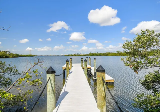 Photo 2 of Townhouse for sale at 4755 Tuscan Loon Dr, Tampa, FL 33619 | MLS# TB8529760 | Listing updated on 2026-10-20