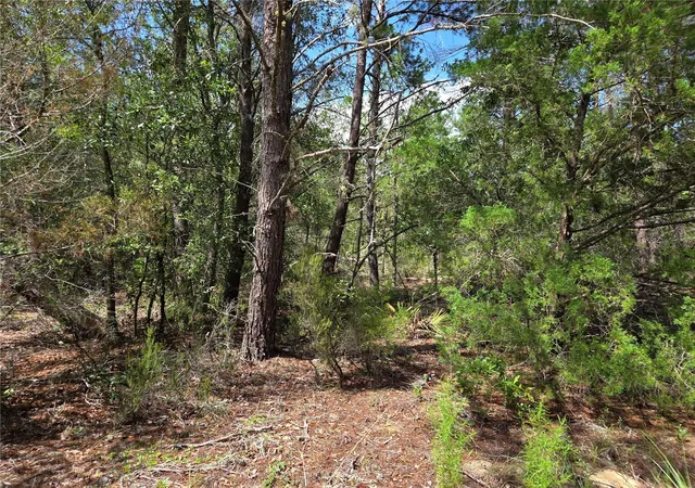 1st image of 0000 Ne 95th St, Archer, FL 32618 | MLS# OM728586
