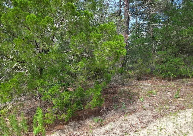 2nd image of 0000 Ne 95th St, Archer, FL 32618 | MLS# OM728586