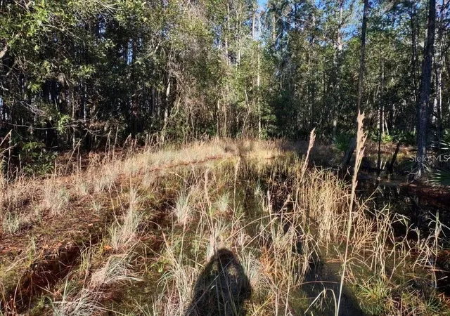 Photo 8 of Land for sale at 154 James Pl, Palatka, FL 32177 | MLS# OM728593 | Listing updated on 2026-07-24