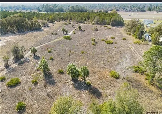 3rd image of 6292 Georgian Rd, Homosassa, FL 34446 | MLS# TB8529848